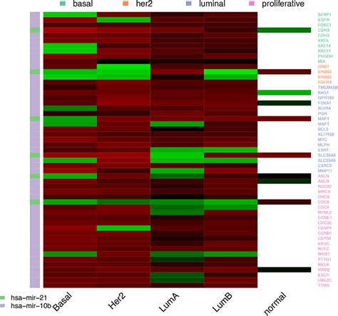 pam50 gene list.